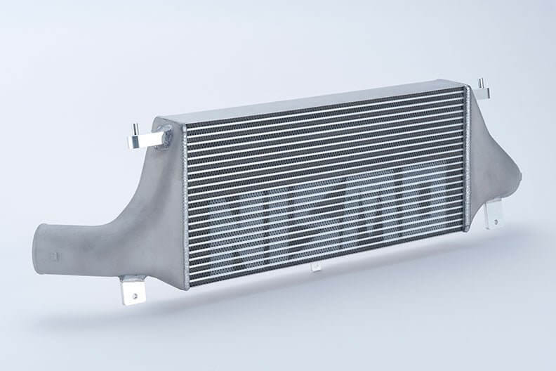 Cargue la imagen en el visor de la galería, 40th Anniversary NISMO Special R32 GTR Intercooler Assembly Old Logo - NizmoPartsPlug