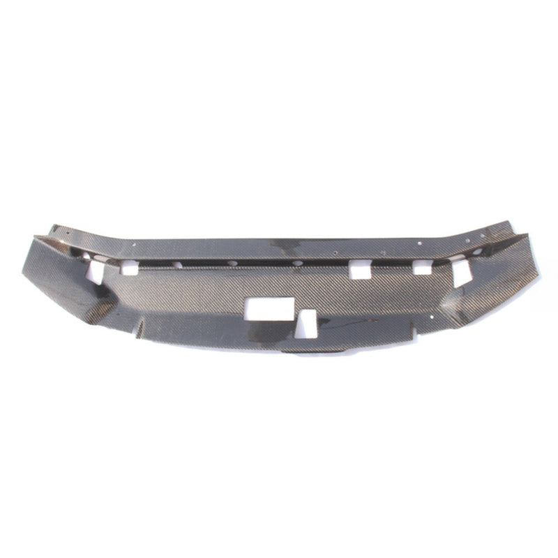 Cargue la imagen en el visor de la galería, Carbon Fiber Cooling Panel for Nissan Skyline R34 GTR