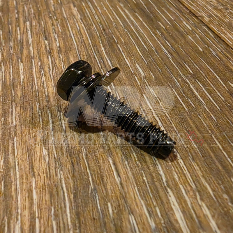 Cargue la imagen en el visor de la galería, Nissan R34 Skyline GTR V-Spec Rear Diffuser Fin Mounting Screw (Individual)