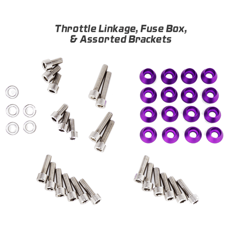 Cargue la imagen en el visor de la galería, ZSPEC Stage-3 dress-up bolt kit for Nissan Skyline R32/R33/R34. Includes purple billet washers and stainless bolts.
